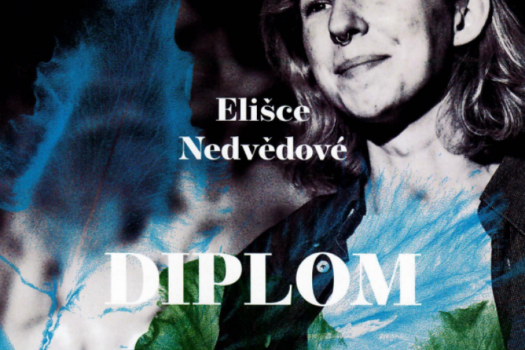 diplom